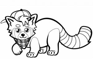 Раскраска Красная панда в кепке