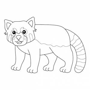 Красная панда изолированная страница раскраски для детей