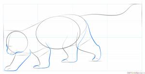 Как нарисовать красную панду