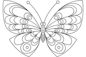 Раскраски Бабочка печать