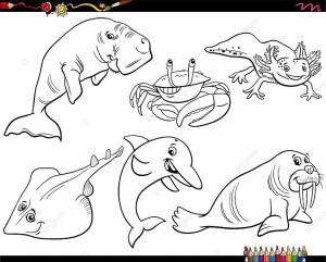 рисунок набор персонажей мультфильма морских животных раскраски страницы вектор зоологии море PNG , рисунок автомобиля, мультфильм рисунок, рисунок животного PNG картинки и пнг рисунок для й загрузки