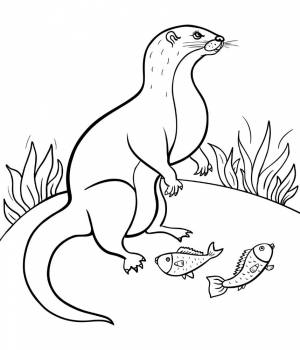 Раскраски Ласка