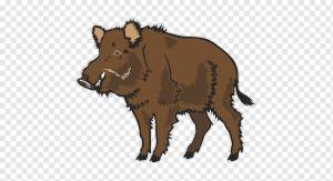 Дикий кабан обыкновенный бородавочник, другие, млекопитающее, корова Коза Семья, другие png