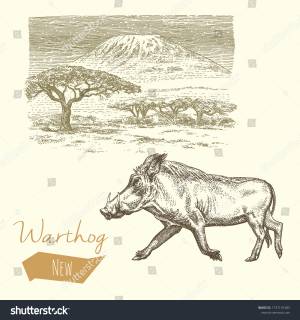 Warthog Landscape Vintage Engraved Illustration