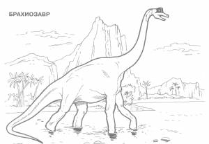 Раскраски Раскраска Брахиозавр 