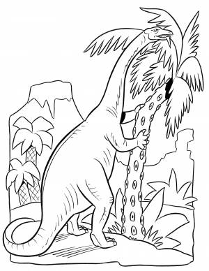 Раскраска Брахиозавр ест пальму