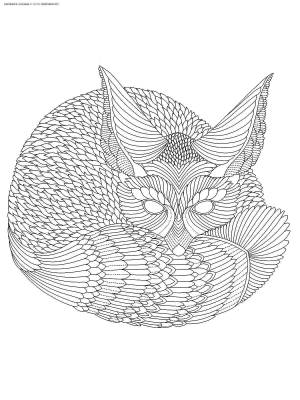 Раскраски Антистресс лиса