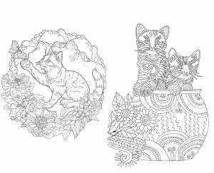 Раскраски котики милые сложные