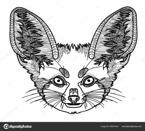 Фенех Лиса Каракули Раскраски Книги Медитативные Раскраски Книги Шаблоны Точки Векторное изображение ©Rant_Goi 449381248