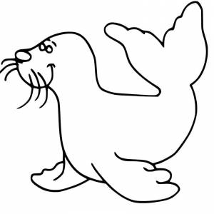 Раскраска Морской лев