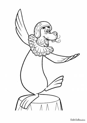 Раскраска Морской лев Стефано