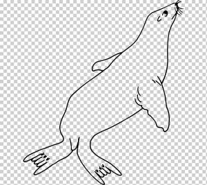 Раскраски морской лев