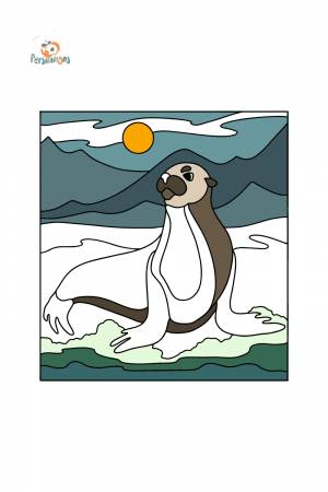 Раскраска Морской Лев ♥ Онлайн и !