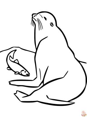 Наслаждайтесь бесплатными печатными страницами раскраски морской лев