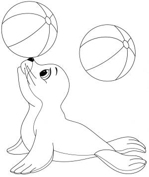 Раскраска Морской котик играется