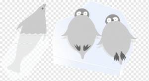 Птица, Пингвин, Тюлень, Морской Лев, Рисунок, Эскиз, png