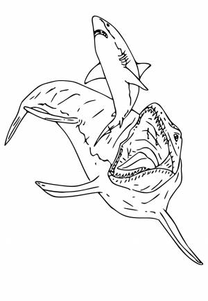 Раскраска Мозазавр Пасть