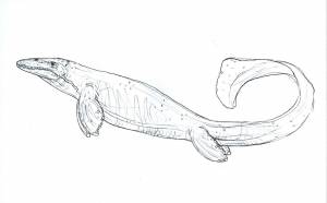 Мозазавр раскраска