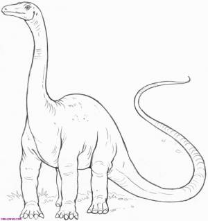 Диплодок раскраска