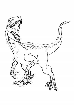 Динозавр раптор раскраска