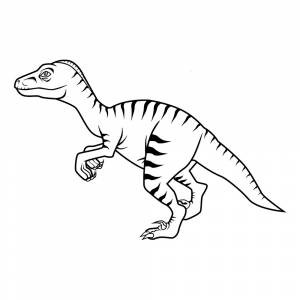 Раскраска Велоцираптор
