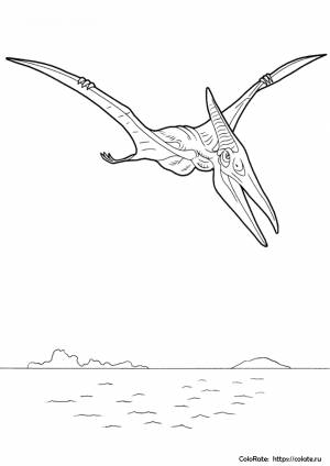 Раскраска Птеранодон на охоте