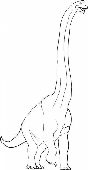 Брахиозавр рисунок поэтапно