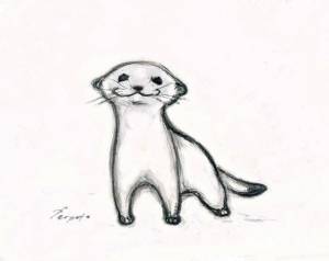 Пин от пользователя Daniela Wagner на доске Otter