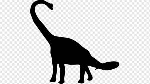 Брахиозавр Бронтозавр Диплодок Тиранозавр, динозавр, кошка, как млекопитающее, плотоядное животное png