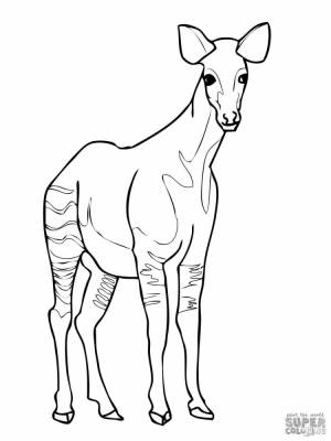 Раскраска антилопа
