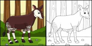 Окапи животных раскраски страница цветные иллюстрации