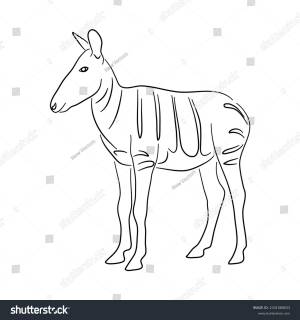Okapi Illustration Doodle Style Vector Isolated