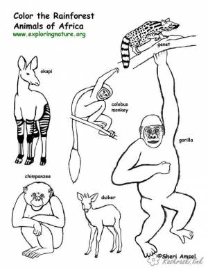 раскраски для детей, животные, Африка