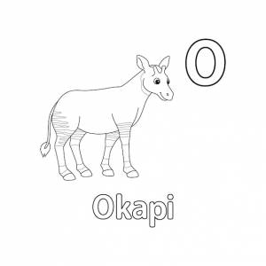 Окапи животный алфавит abc изолированные раскраски страница o