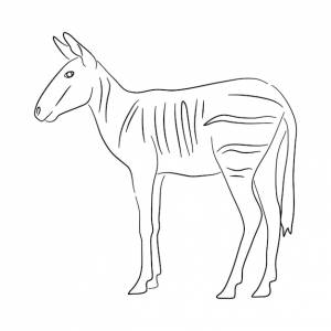 Силуэт окапи в стиле эскиза векторная иллюстрация