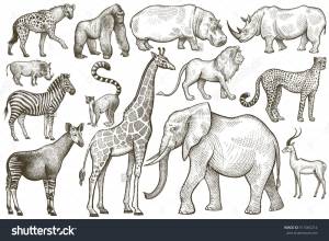 Animals Africa Elephant Giraffe Zebra Lion Stock Vector