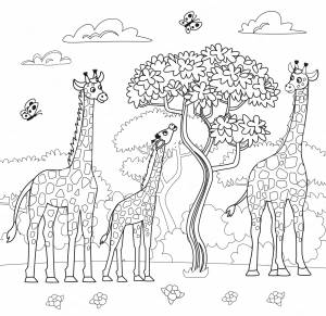 Раскраски Животные африки для детей 4 5 лет