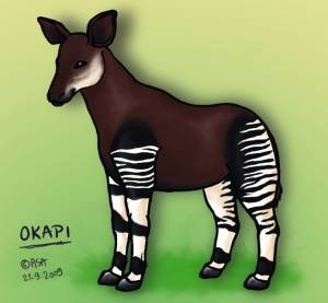 DataLife Engine > Версия для печати > Раскраски окапи животное