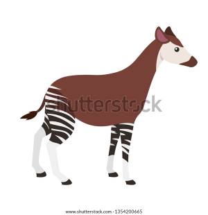 Okapi Isolated Vector Illustration