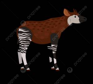 уникальное векторное тропическое животное окапи PNG , зоопарк, глаз, пустыня PNG картинки и пнг рисунок для й загрузки