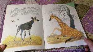 Аудиокнига для детей Жирафа и Окапи