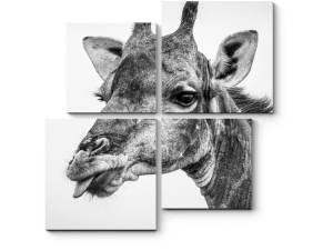 Модульная картина Жираф показывает язык