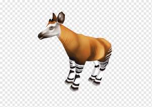 Окапи Жираф Рыло Земное животное Дикая природа, Жираф, млекопитающее, животные, жираф png