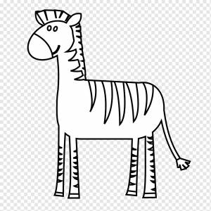 Зебра Черно-белый рисунок, зебра, белый, млекопитающее, животные png