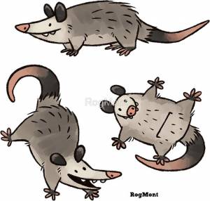 Simply Opossum Stickers by RogMont
