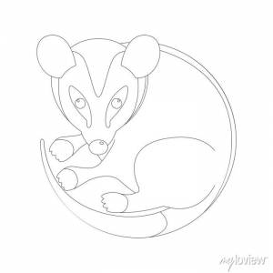 Cartoon opossum, vector illustration, lining draw фотообои