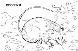 Раскраски Красная книга для детей