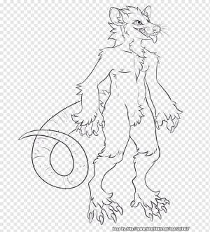 Рисование Line art Opossum Sketch, другие, белый, пушистый Фэндом, другие png
