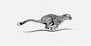 Cheetah Cougar Jaguar Leopard Книжка-раскраска, прогон гепарда, ребенок, млекопитающее, кошка png