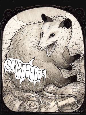 Opossum Classic T-Shirt for Sale by NomadicPlanet